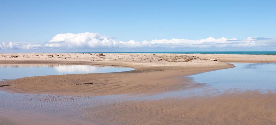 /sites/default/files/GIS_MW_881x400 (2).jpg